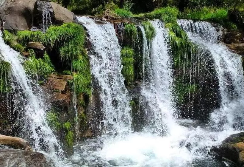 Aamiaismajoitus (B&B) Lago Da Garça Guesthouse