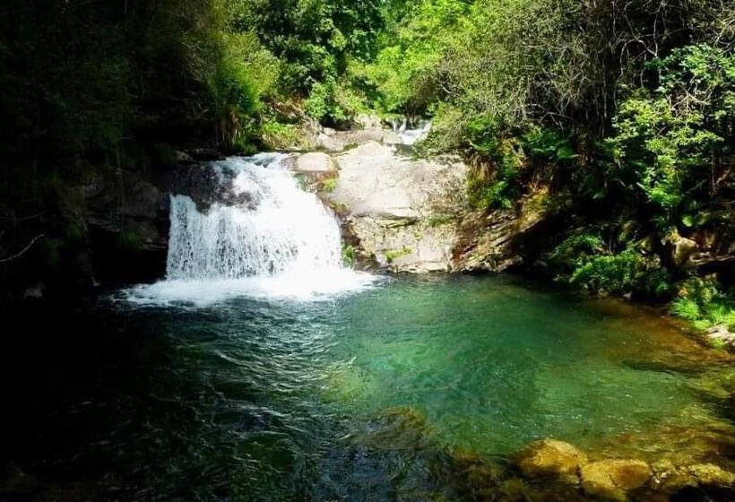 تختخواب و صبحانه Lago Da Garça Guesthouse