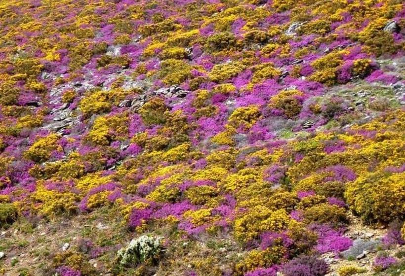 تختخواب و صبحانه Lago Da Garça Guesthouse