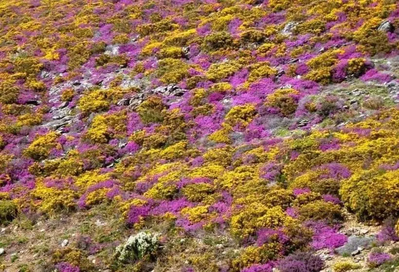 Aamiaismajoitus (B&B) Lago Da Garça Guesthouse