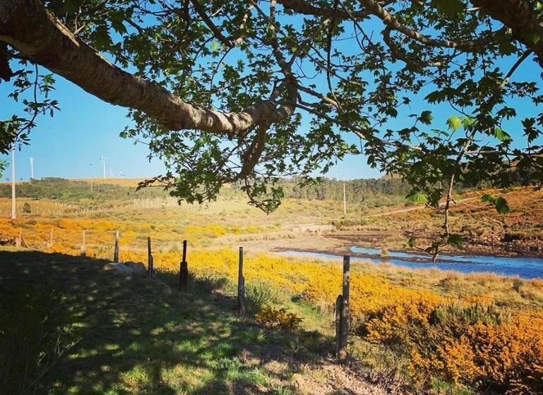 تختخواب و صبحانه Lago Da Garça Guesthouse