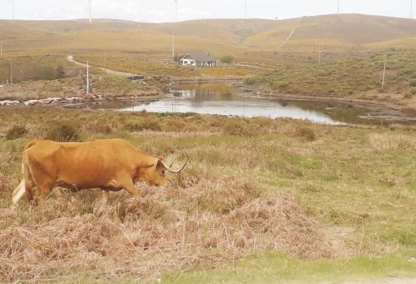 تختخواب و صبحانه Lago Da Garça Guesthouse
