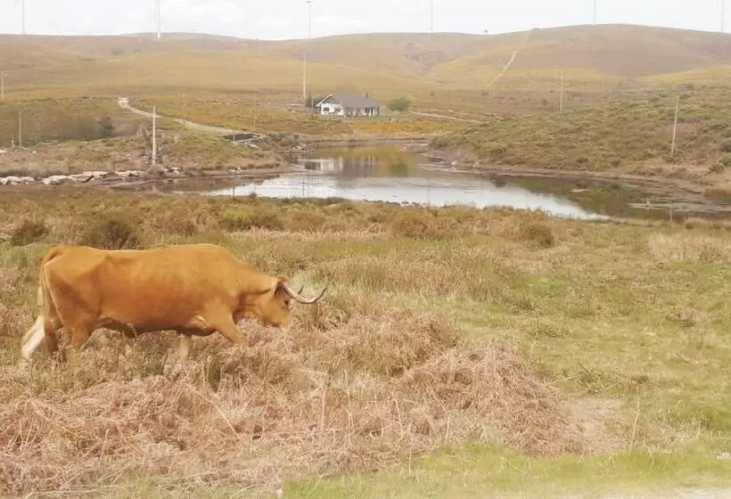 Aamiaismajoitus (B&B) Lago Da Garça Guesthouse
