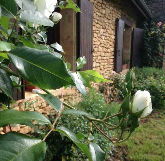 住宿加早餐  Ma Maison De Couture