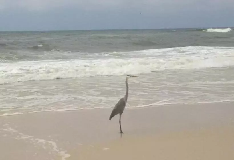 Bill’s At Gulf Shores