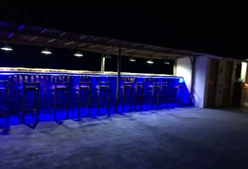 Hostel Lions