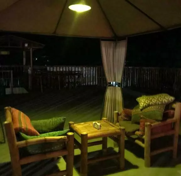 Hostel Lions