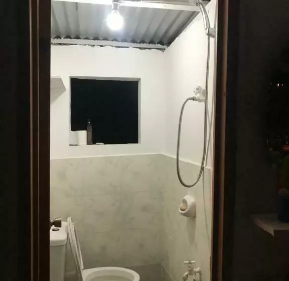 Hostel Lions