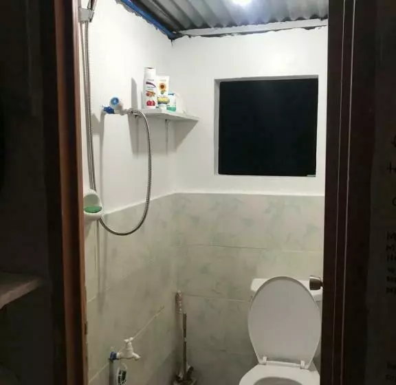 Hostel Lions