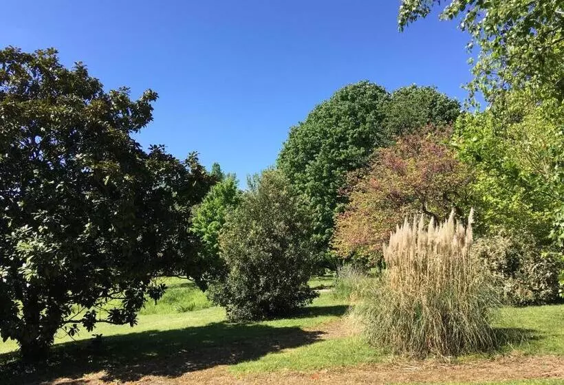 Au Bonheur Dupré B&b