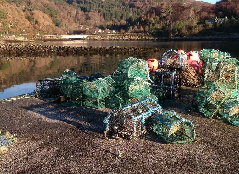 צימר Oakwood B And B