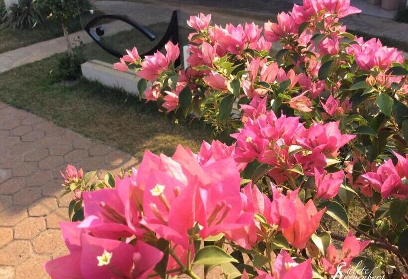 Hotel Aruanã Palace