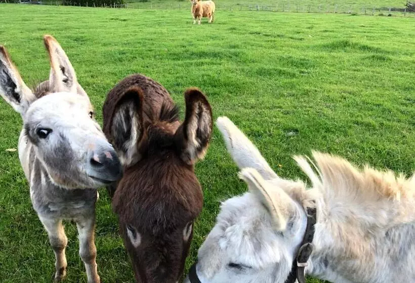 ペンション Au Fil De L Eau