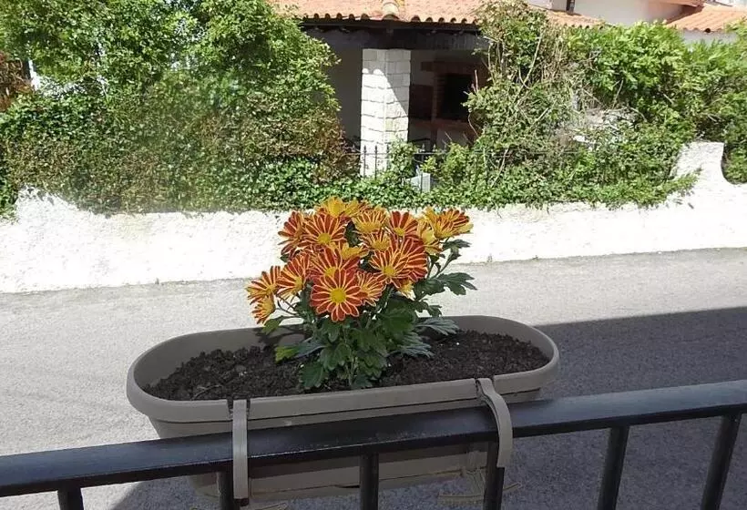 ペンション Hospedaria Do Senhor Da Pedra