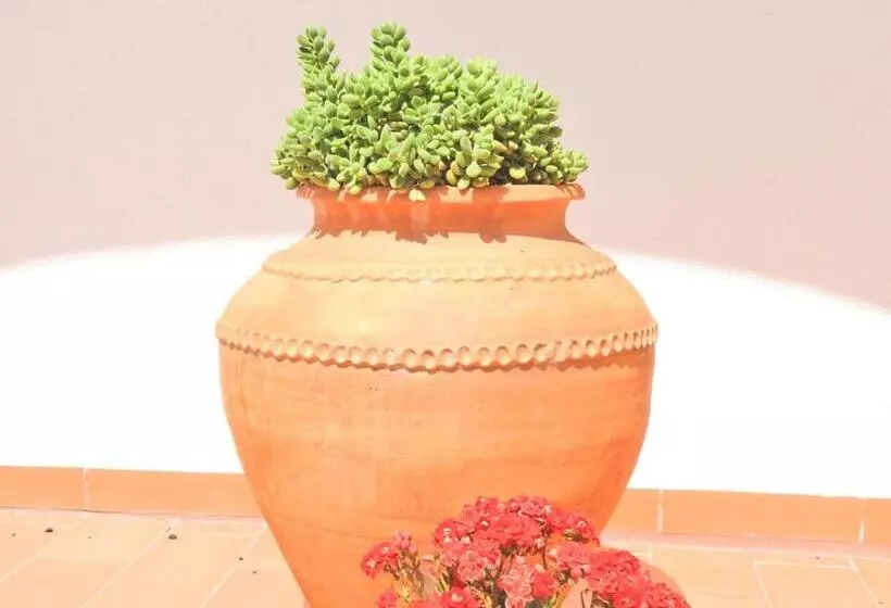 ペンション Hospedaria Do Senhor Da Pedra