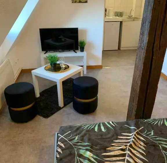 Majatalo Studio à Ribeauvillé