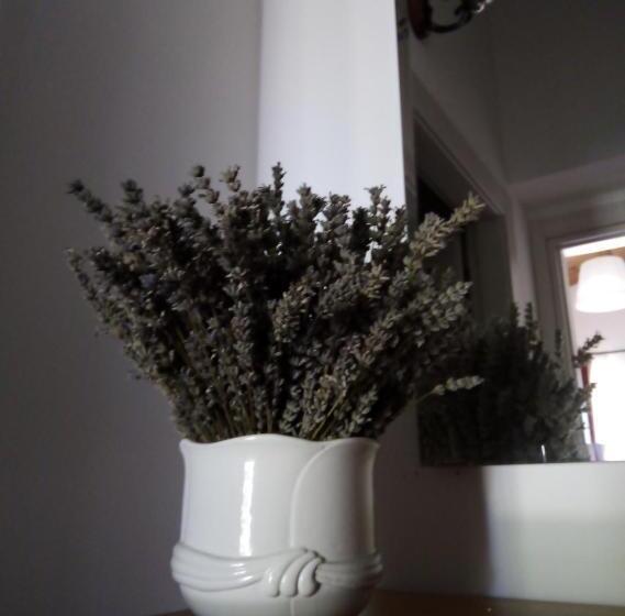 酒店 Agriturismo Terra Dei Falchi