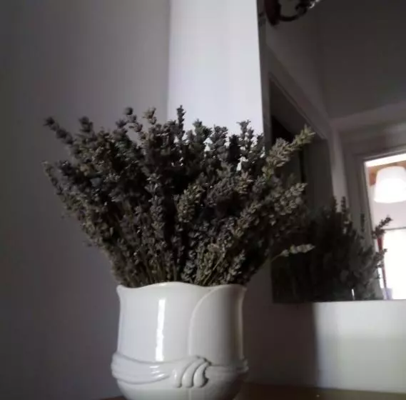 ホテル Agriturismo Terra Dei Falchi