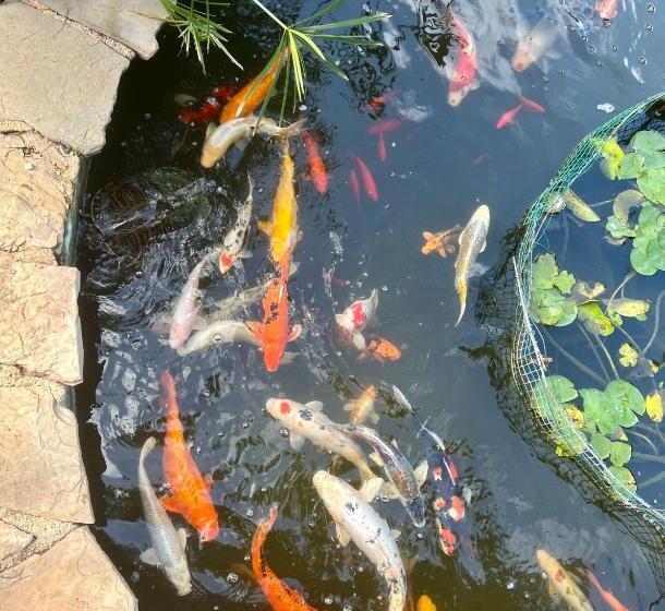 پانسیون Open Sky Villa