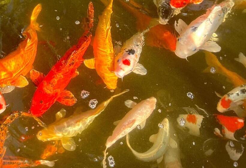 پانسیون Open Sky Villa