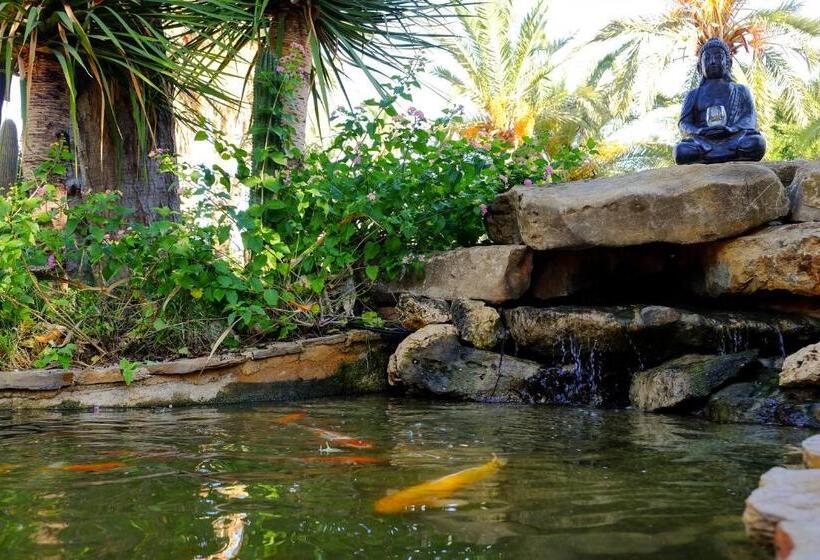 پانسیون Open Sky Villa