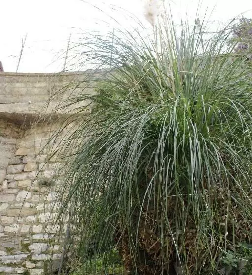 پانسیون Punto Relax