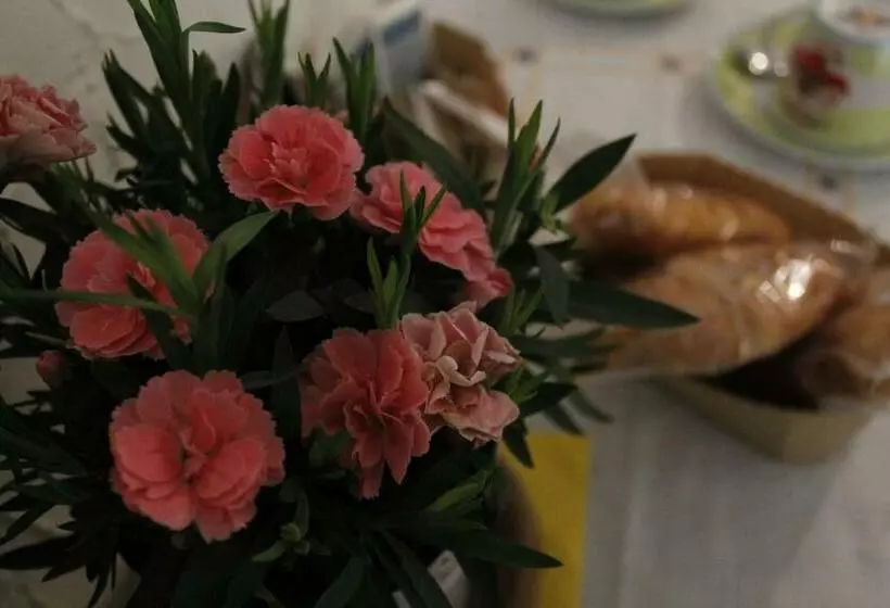 پانسیون Punto Relax