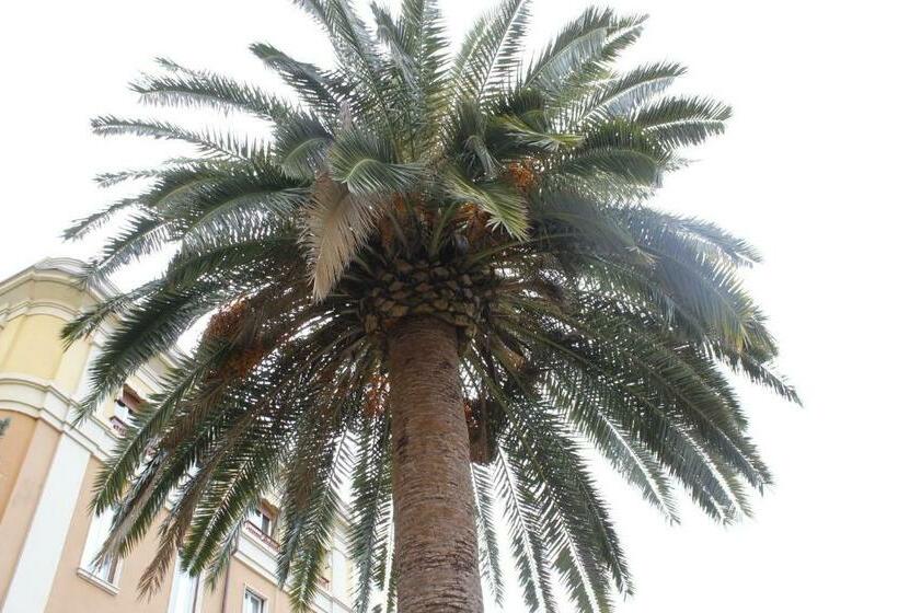 بنسيون Punto Relax