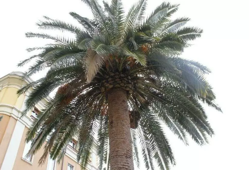 پانسیون Punto Relax