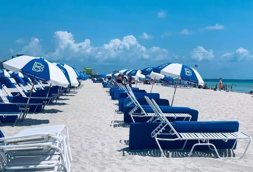 Sunrise Penthouse Ocean View Terrace Beach Few Steps Away Sobe