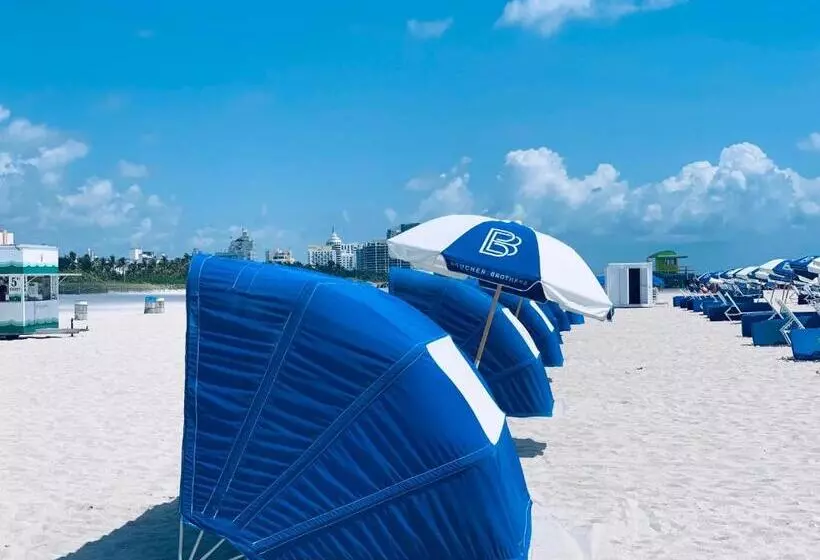Sunrise Penthouse Ocean View Terrace Beach Few Steps Away Sobe