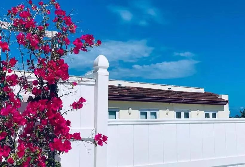 Sunrise Penthouse Ocean View Terrace Beach Few Steps Away Sobe