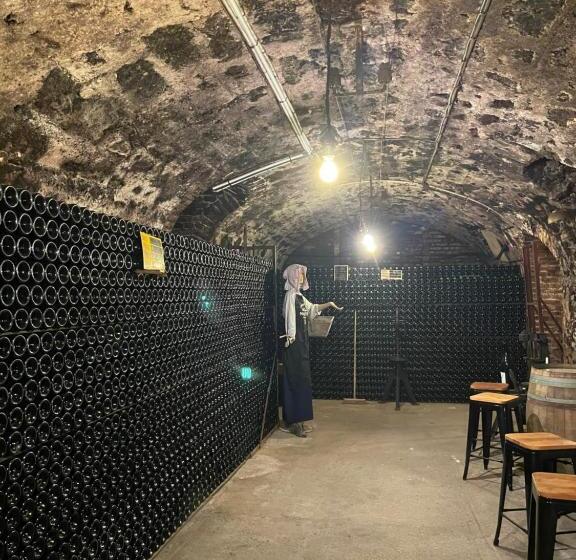 צימר Champagne Philippe Martin