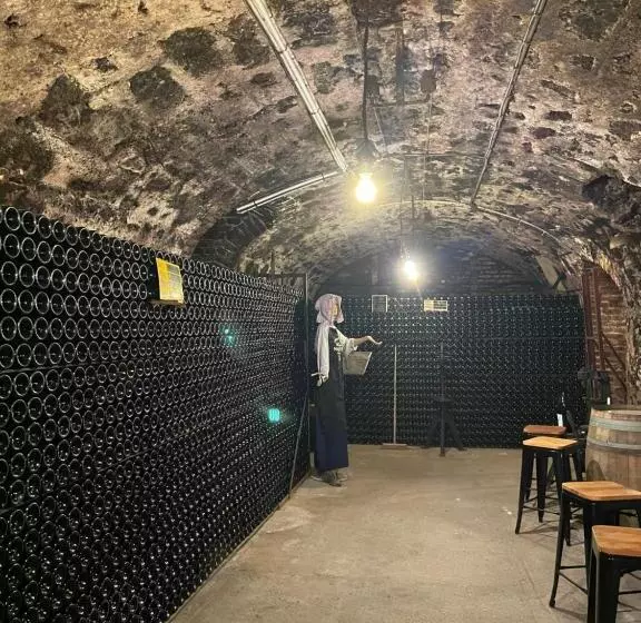 Aamiaismajoitus (B&B) Champagne Philippe Martin