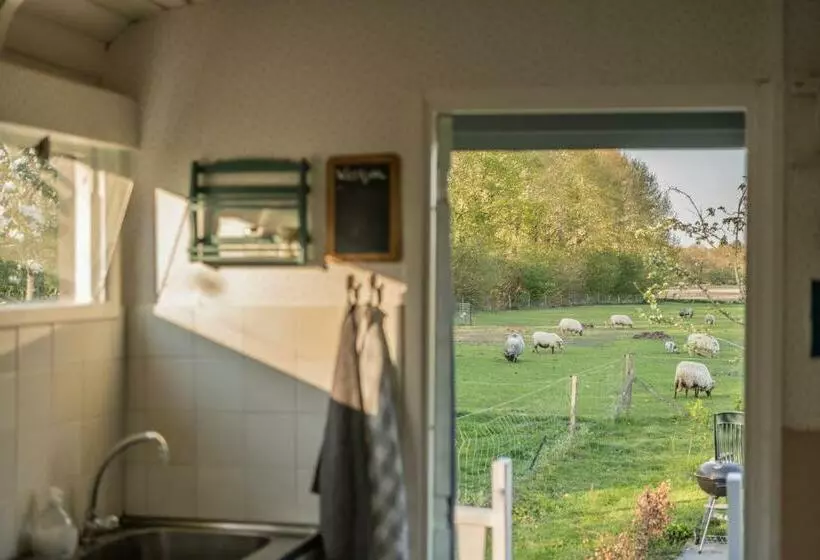ベッドアンドブレックファースト Pipowagen Elsebein Groningen Westerwolde Unieke Ligging Met Eigen Tuin En Vrij Uitzicht Over Veld Na