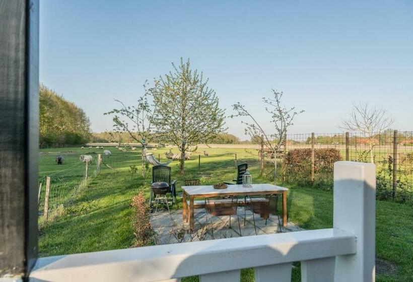 Bed and Breakfast Pipowagen Elsebein Groningen Westerwolde Unieke Ligging Met Eigen Tuin En Vrij Uitzicht Over Veld Na