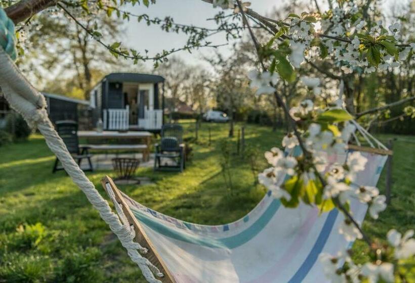 Bed and Breakfast Pipowagen Elsebein Groningen Westerwolde Unieke Ligging Met Eigen Tuin En Vrij Uitzicht Over Veld Na