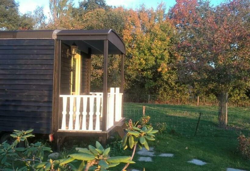 Bed and Breakfast Pipowagen Elsebein Groningen Westerwolde Unieke Ligging Met Eigen Tuin En Vrij Uitzicht Over Veld Na