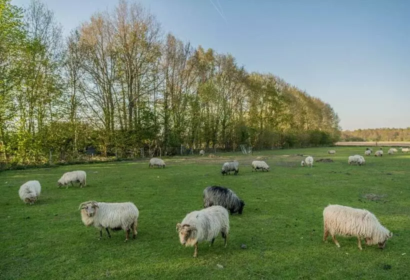 ベッドアンドブレックファースト Pipowagen Elsebein Groningen Westerwolde Unieke Ligging Met Eigen Tuin En Vrij Uitzicht Over Veld Na