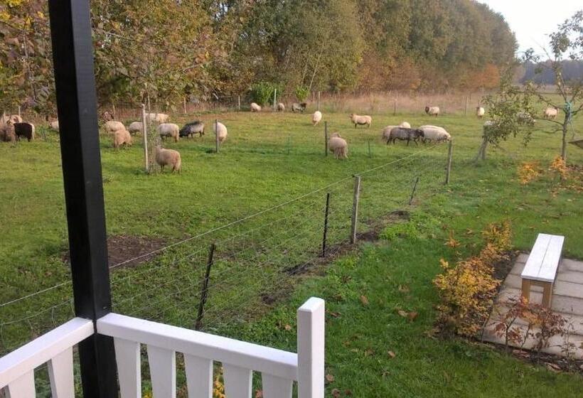 Bed and Breakfast Pipowagen Elsebein Groningen Westerwolde Unieke Ligging Met Eigen Tuin En Vrij Uitzicht Over Veld Na