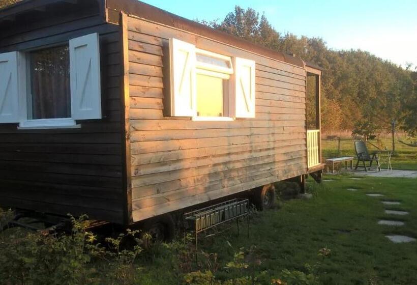 Bed and Breakfast Pipowagen Elsebein Groningen Westerwolde Unieke Ligging Met Eigen Tuin En Vrij Uitzicht Over Veld Na