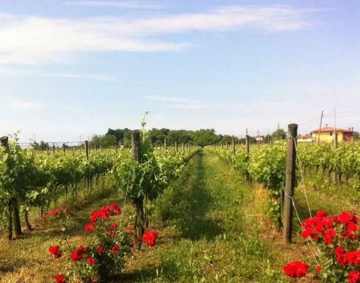 هتل Agriturismo Gazza Ladra