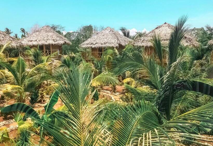هتل Mandala Tribe Treehouses