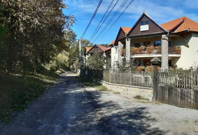 Pensiunea Bordás Panzió