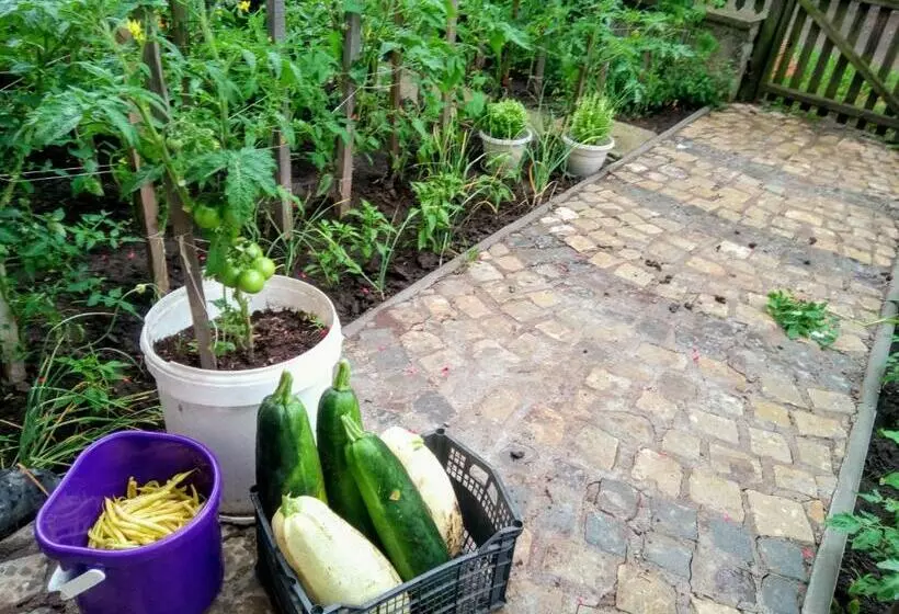 Pensiunea Bordás Panzió