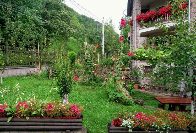 Pensiunea Bordás Panzió