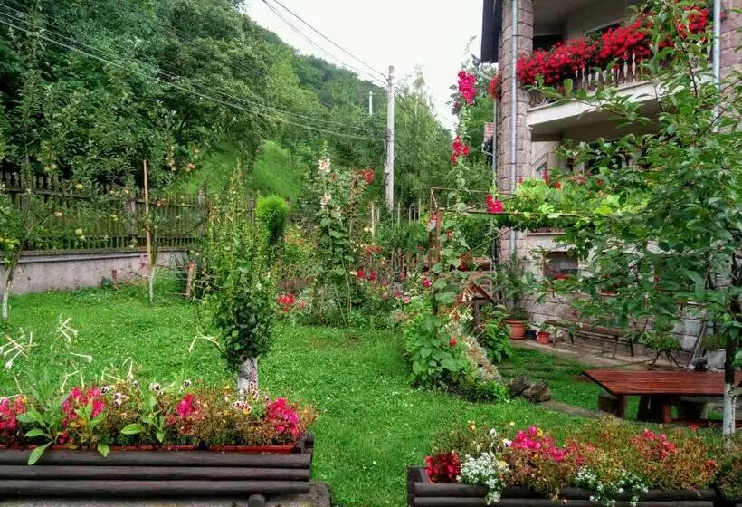 Pensiunea Bordás Panzió