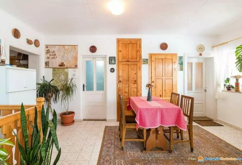 Pensiunea Bordás Panzió