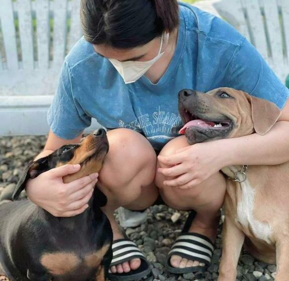 A Villas Resort & Restaurant