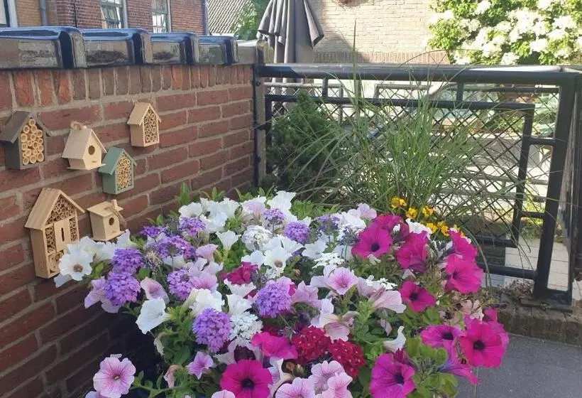 B&b De Grote Kade I Bella Zeelandia